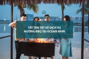 Dịch Vụ Nướng BBQ Tại Vinhomes Ocean Park Gia Lâm